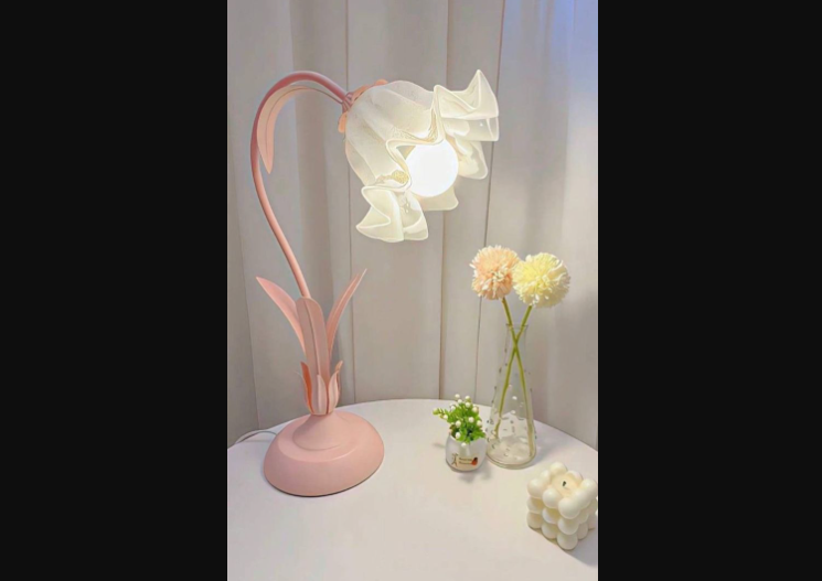 Home Decor ideas🏡